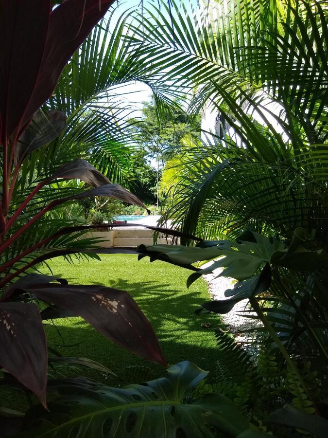 Palm Beach Inn Playa Grande Kültér fotó